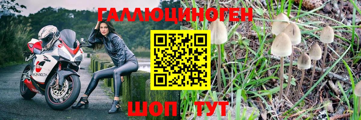 Галлюциногенные грибы MAGIC MUSHROOMS  Вход с VPN  Губкин 
